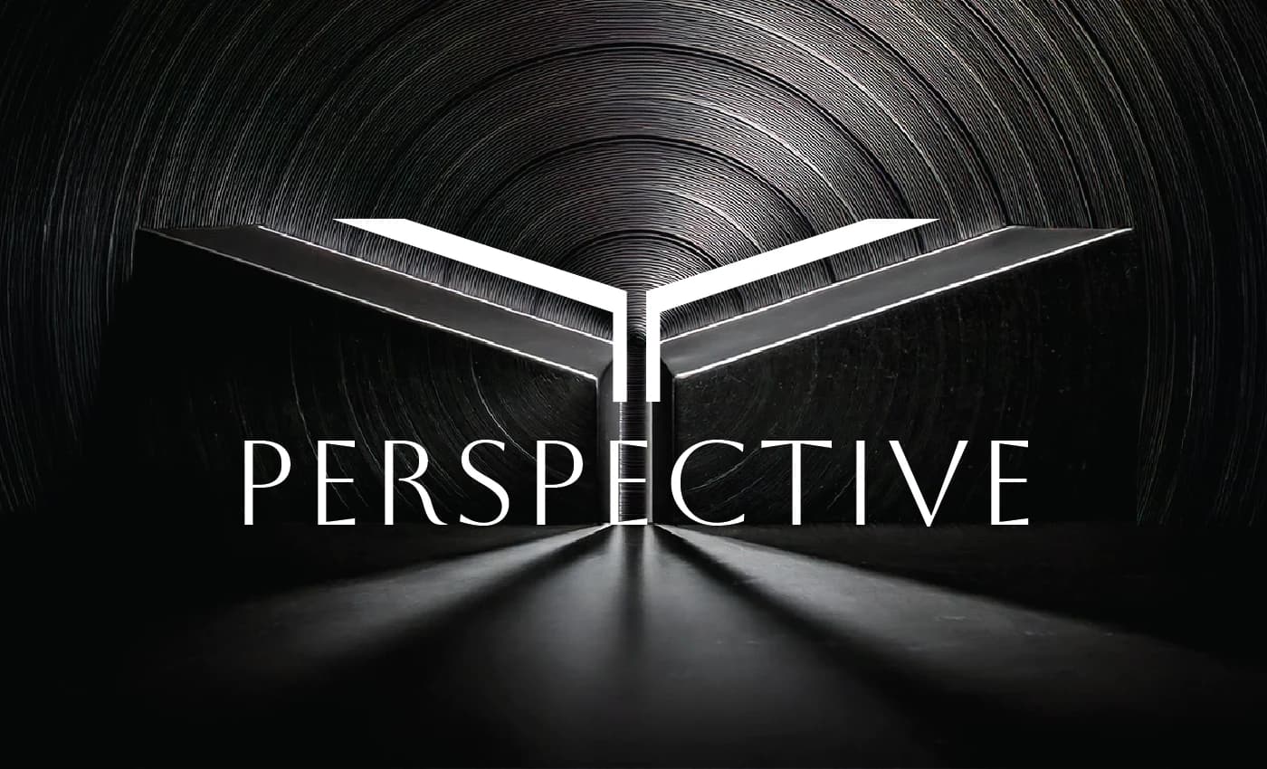 Branding portfolio example: Perspective identity
